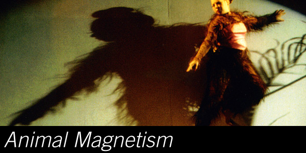 Animal Magnetism Main